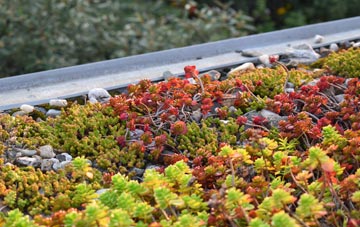 the cost of Little Overton green roof installation