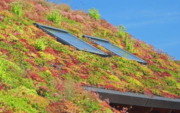 Little Overton living roof systems